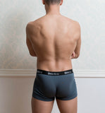 Basic Gray Male Trunk Underwear